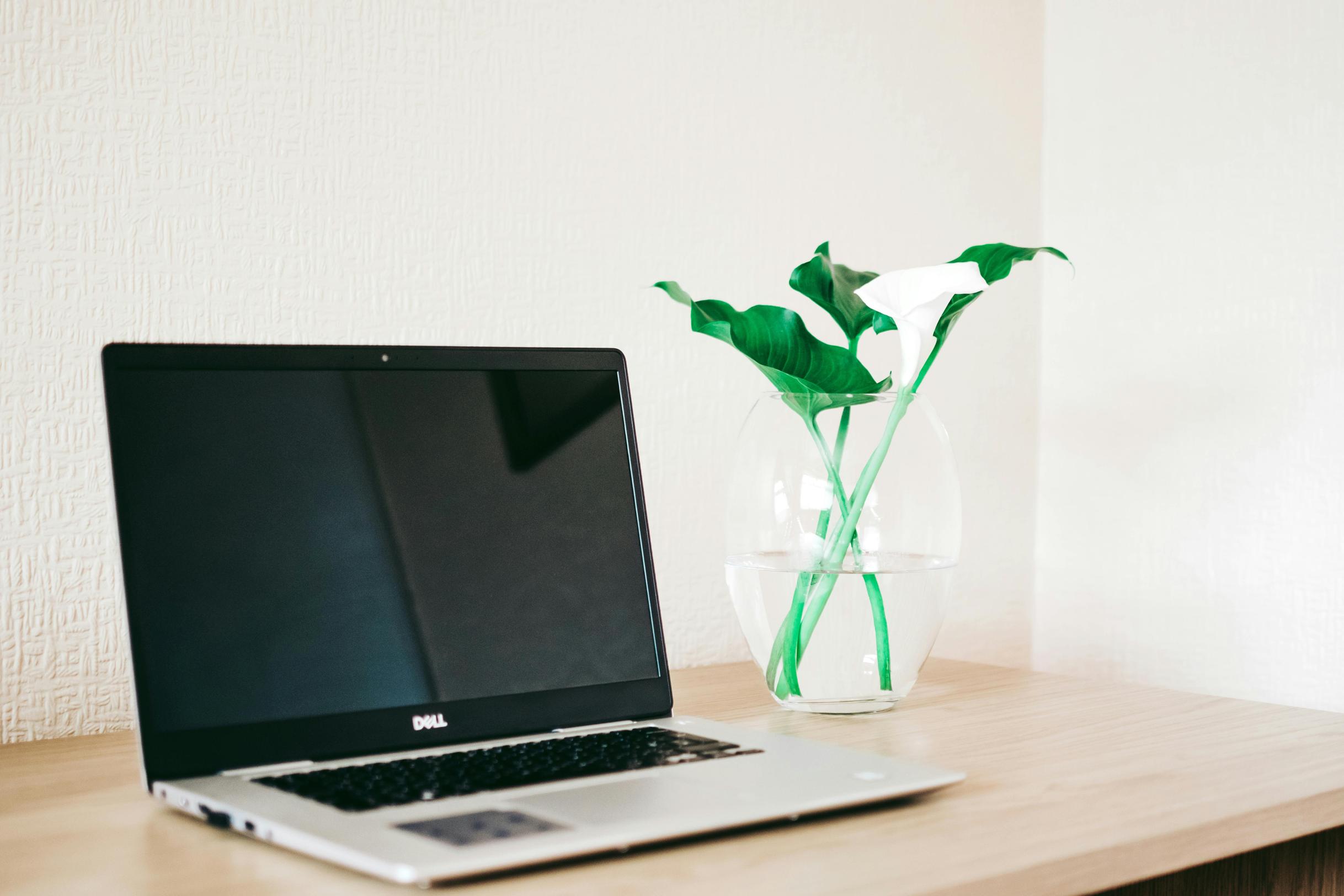 pourquoi mon ordinateur portable Dell ne s'allume-t-il pas